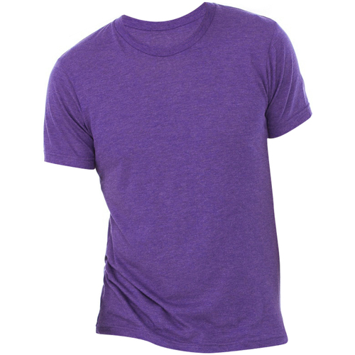 Vêtements Homme T-shirts manches courtes Bella + Canvas CA3413 Violet