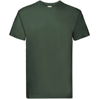 Vêtements Homme T-shirts manches courtes Vent Du Cap 61044 Vert