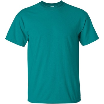 Vêtements Homme T-shirts manches courtes Gildan Ultra Jade