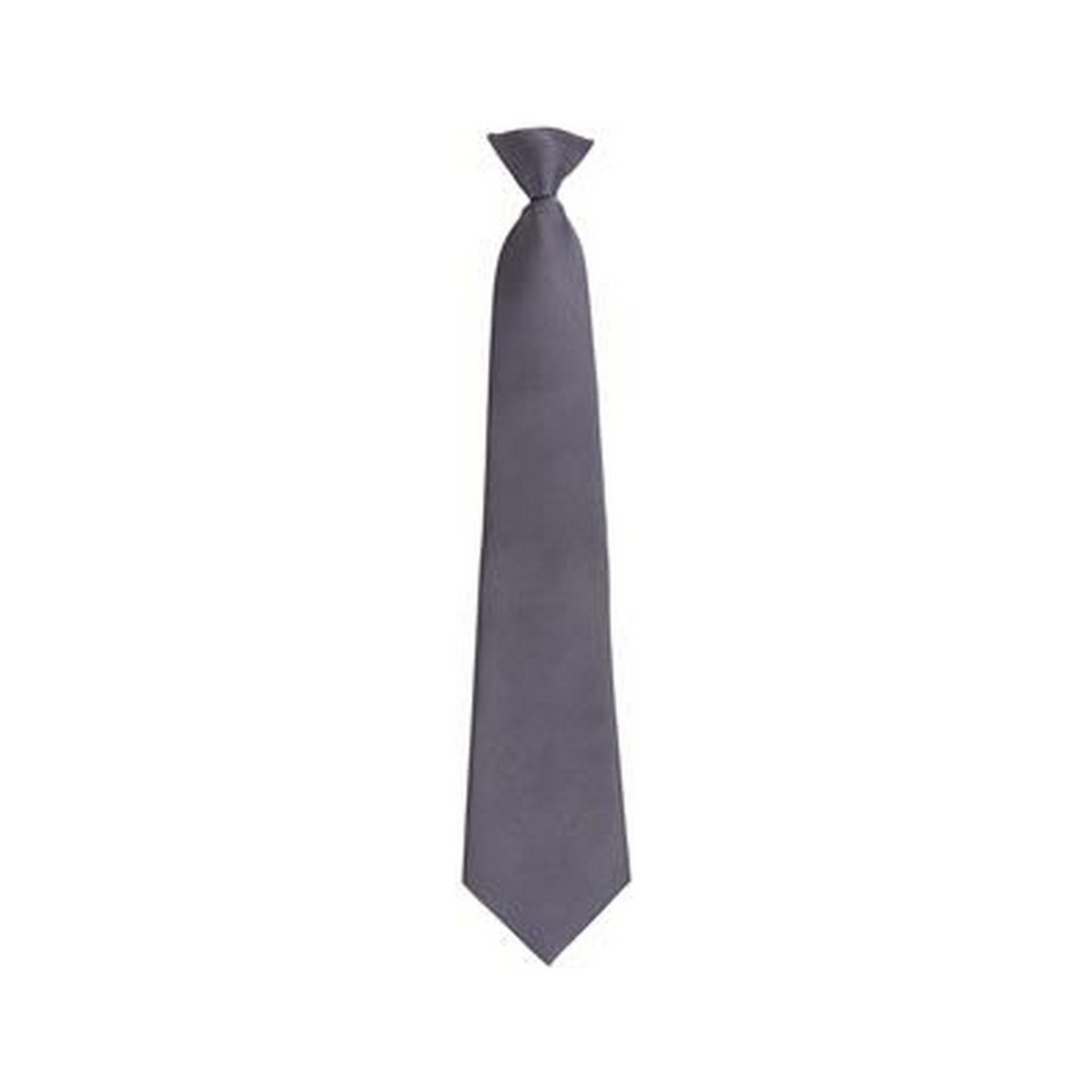Vêtements Homme Cravates et accessoires Premier PR785 Gris