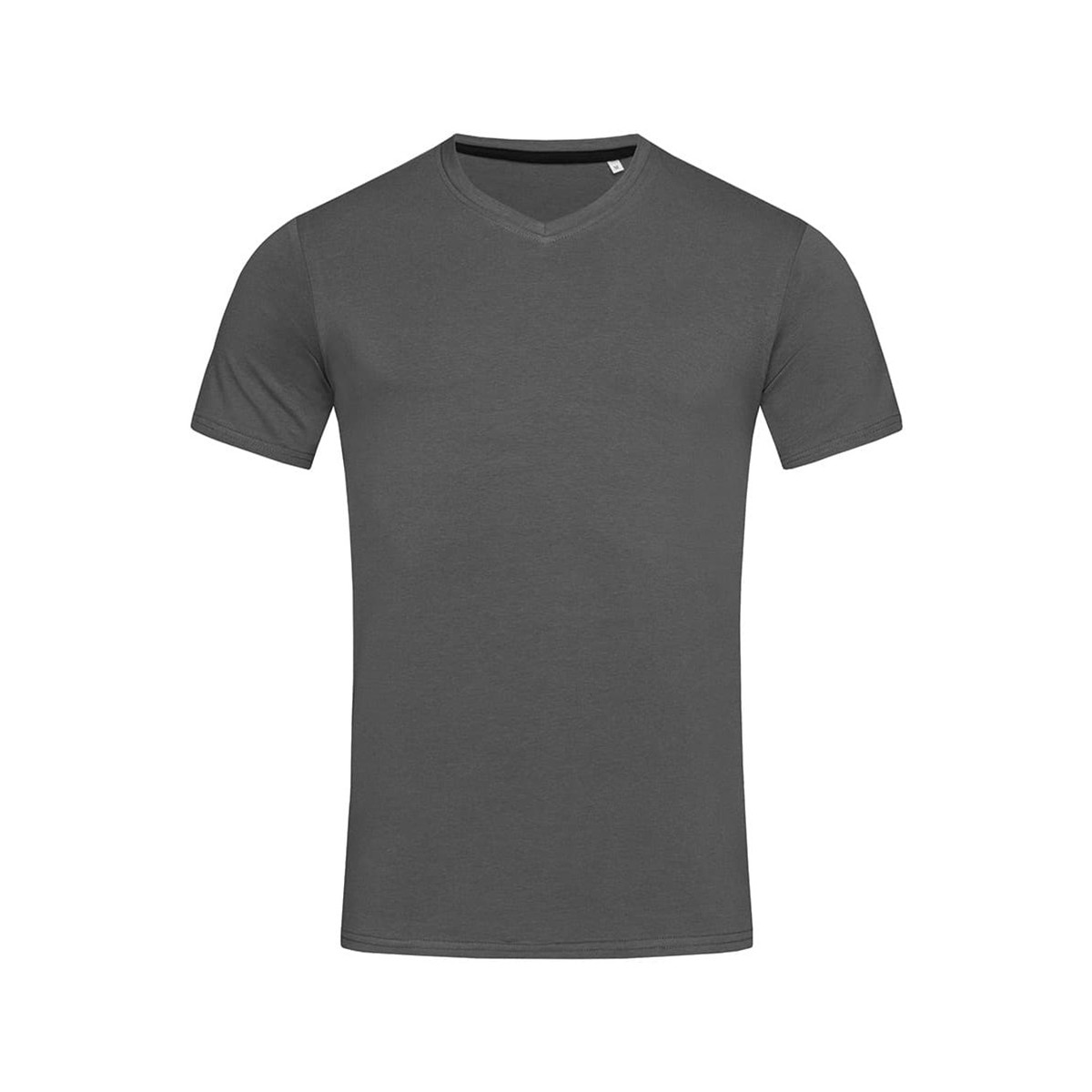 Vêtements Homme T-shirts col manches longues Stedman Stars Clive Gris