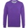 Vêtements Homme Sweats Asquith & Fox AQ042 Violet