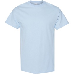 Vêtements Homme T-shirts manches courtes Gildan Heavy Bleu
