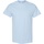Vêtements Homme T-shirts Towels manches courtes Gildan Heavy Bleu