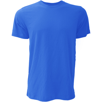 Vêtements Homme T-shirts manches courtes Bella + Canvas CA3001 Bleu