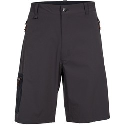 Vêtements Homme Shorts / Bermudas Trespass Runnel Anthracite