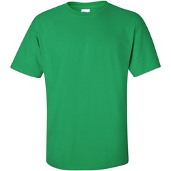 Vêtements Homme T-shirts manches courtes Gildan Ultra Vert irlandais