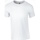 Vêtements Homme T-shirts manches longues Gildan Soft Style Blanc