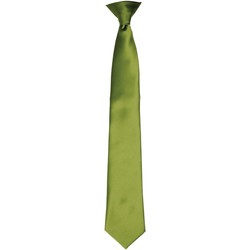 Vêtements Homme Cravates et accessoires Premier PR755 Vert