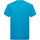 Vêtements Homme T-shirts manches courtes Fruit Of The Loom SS12 Bleu azur