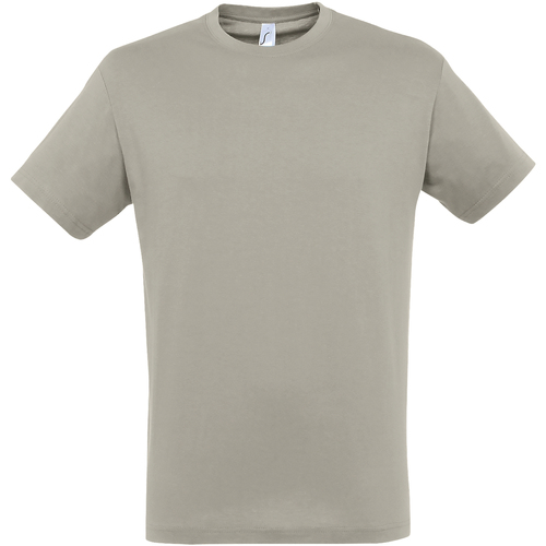 Vêtements Homme T-shirts manches courtes Sols Regent Gris