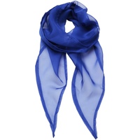 Accessoires textile Femme Echarpes / Etoles / Foulards Premier PR740 Bleu