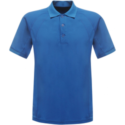 Vêtements Homme Polos manches courtes Regatta RG524 Bleu Oxford
