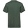 Vêtements Enfant T-shirts manches courtes Fruit Of The Loom 61033 Vert