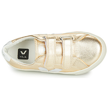 what does come as a surprise was the fact that the Veja founders didn t know who she was
