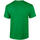 Vêtements Homme T-shirts manches courtes Gildan Soft-Style Vert