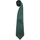 Vêtements Homme Cravates et accessoires Premier RW6938 Vert