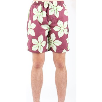 Vêtements Homme Shorts / Bermudas Zagano 2216-203 Multicolore