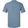 Vêtements Homme T-shirts manches courtes Gildan Ultra Bleu