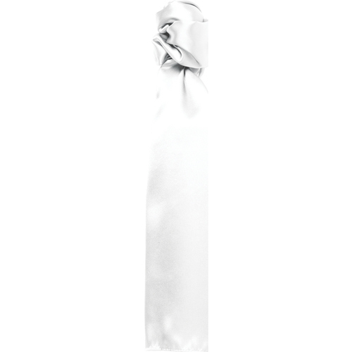 Accessoires textile Femme Echarpes / Etoles / Foulards Premier PR730 Blanc