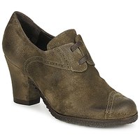 Chaussures Femme Low boots Audley RINO LACE Taupe