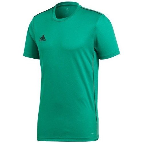 Vêtements Garçon T-shirts manches courtes adidas Originals Core 18 Vert