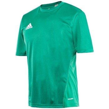 Vêtements Homme T-shirts manches courtes adidas Originals Core 15 Training Vert