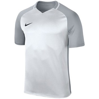 Vêtements Garçon T-shirts manches courtes Nike JR Dry Trophy Iii Jersey Argent, Gris