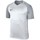 Vêtements Garçon T-shirts manches courtes Nike Bespoke JR Dry Trophy Iii Jersey Argent, Gris