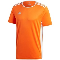 Vêtements Homme T-shirts manches courtes adidas Originals Entrada 18 Orange
