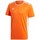Vêtements Homme T-shirts manches courtes adidas Originals Entrada 18 Orange