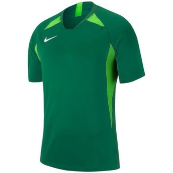 Vêtements Garçon T-shirts manches courtes Nike JR Legend Vert