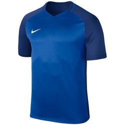 Vêtements Homme T-shirts manches courtes Nike Dry Trophy Iii Marine