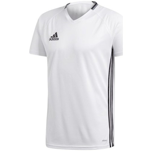 Vêtements Homme T-shirts manches courtes adidas Originals Condivo 16 Blanc