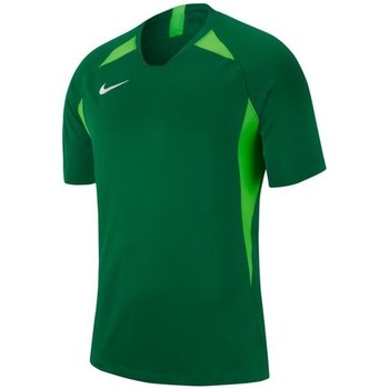Vêtements Homme T-shirts manches courtes Nike Legend Vert