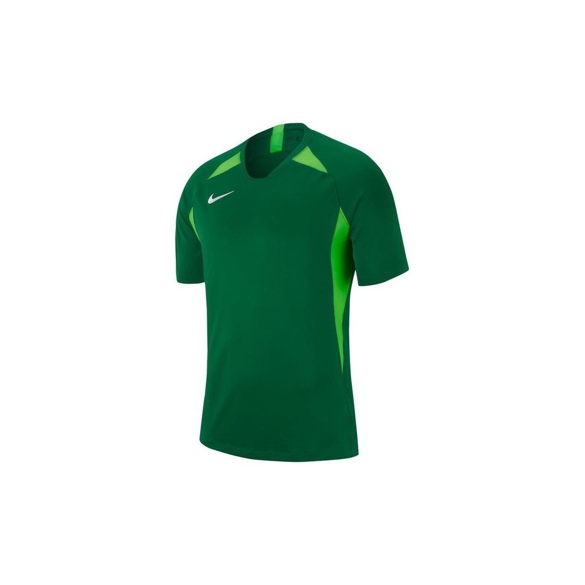 Vêtements Homme T-shirts manches courtes Nike Legend Vert