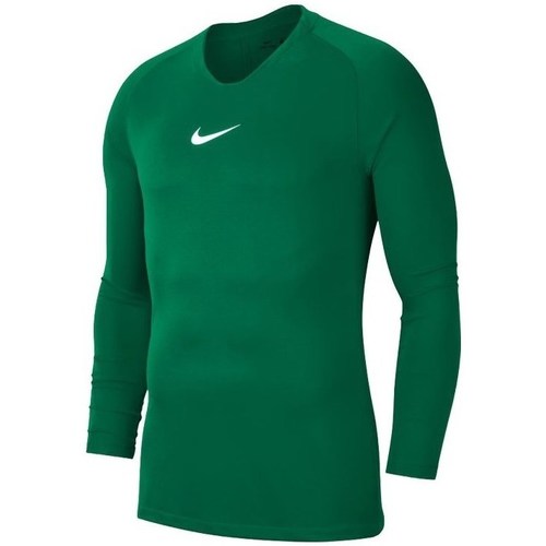 Vêtements Homme T-shirts manches courtes Nike Dry Park First Layer Vert