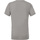 Vêtements Homme T-shirts manches courtes Bella + Canvas CA3413 Gris