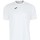 Vêtements Homme T-shirts manches courtes Joma Combi Blanc