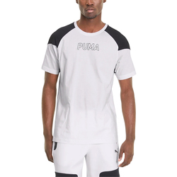 Vêtements Homme T-shirts manches courtes Puma 581490-02 Blanc