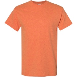 Vêtements Homme T-shirts manches courtes Gildan Heavy Orange foncé