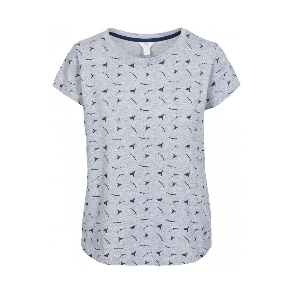 Vêtements Femme T-shirts manches courtes Trespass TP4702 Gris