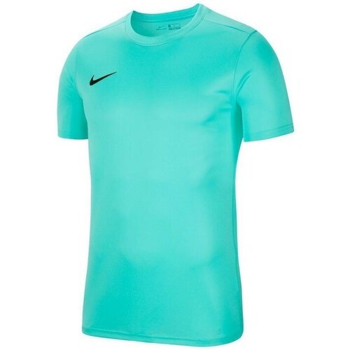 Vêtements Homme T-shirts manches courtes Nike Park Vii Vert