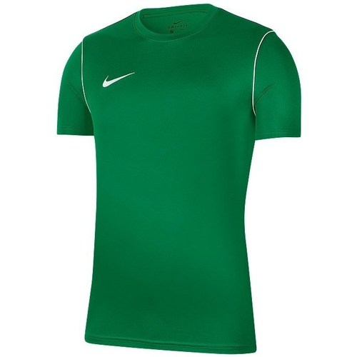 Vêtements Homme T-shirts manches courtes Nike Park 20 Vert
