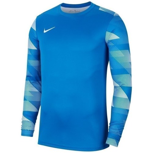 Vêtements Homme Sweats Nike Dry Park IV Bleu