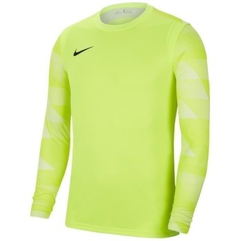 Vêtements Homme Sweats Nike Dry Park IV Vert clair