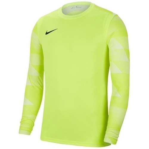 Vêtements Homme Sweats Nike Dry Park IV Vert