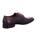 Chaussures Homme Derbies & Richelieu Lloyd  Bleu