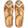 Chaussures Femme Sandales et Nu-pieds Pikolinos P. VALLARTA 655 Vert