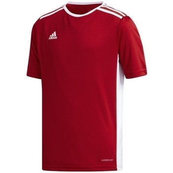 Vêtements Garçon T-shirts manches courtes adidas Originals JR Entrada 18 Rouge